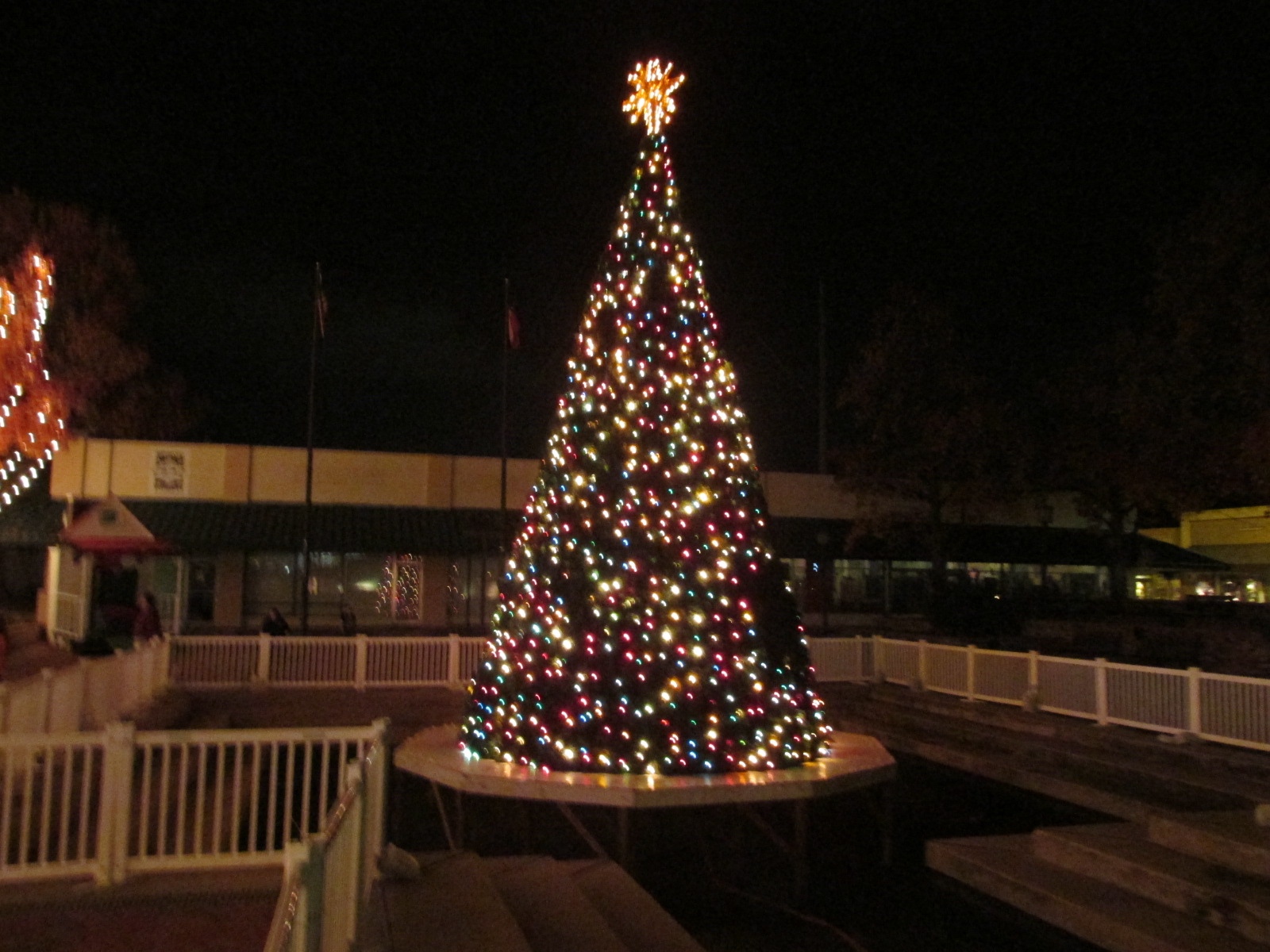 09. Test lighting of the Christmas Tree